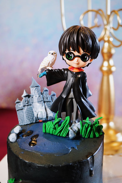 Harry Potter Burnaway Cake