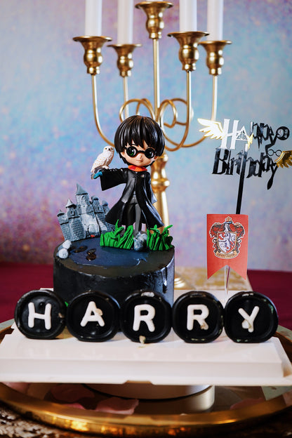 Harry Potter Burnaway Cake