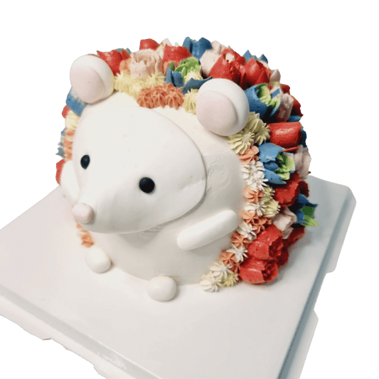 Rainbow Hedge Hog Cake