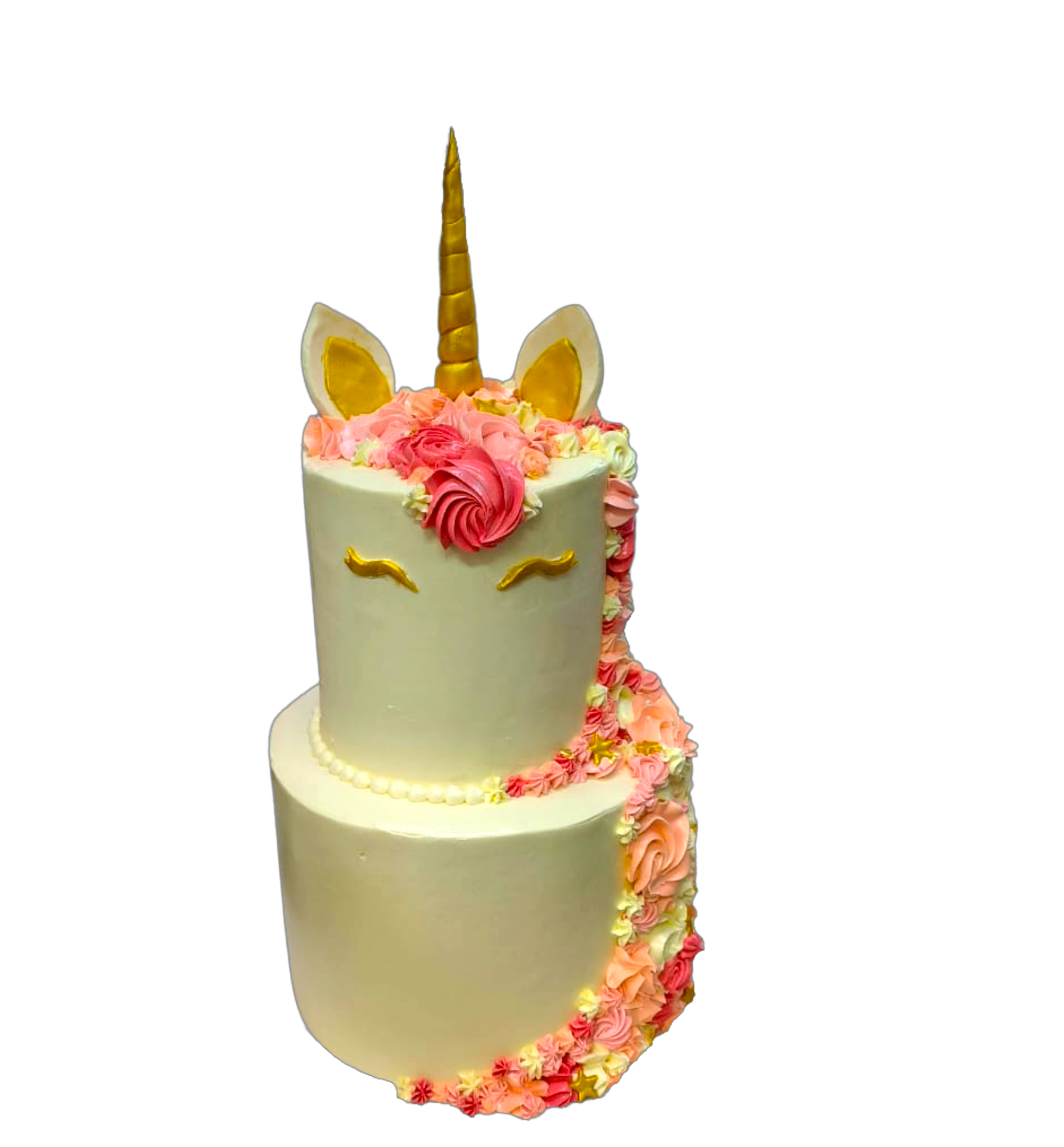 Unicorn Two tier Cake