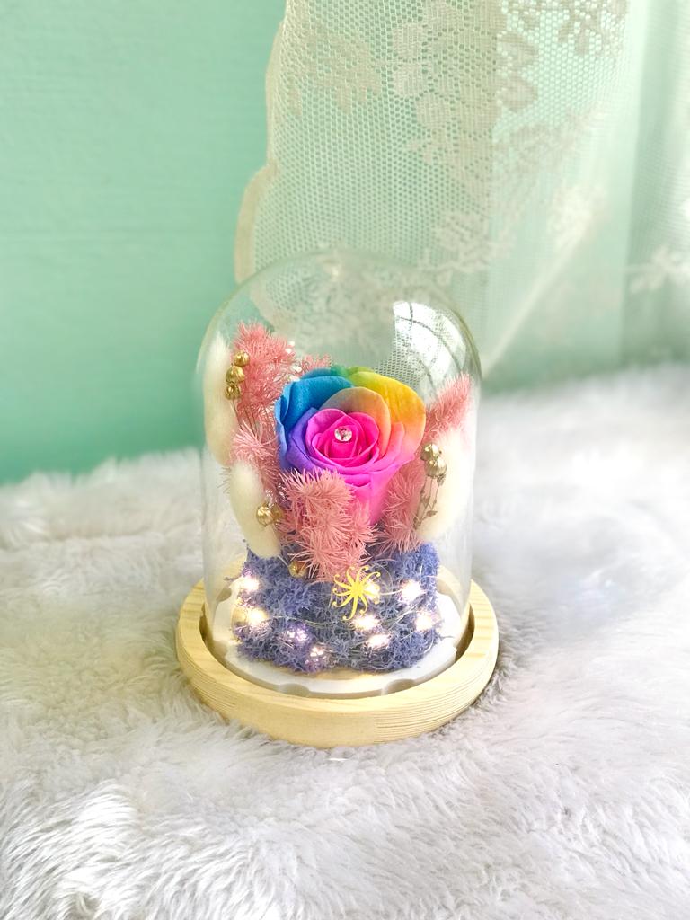 Bright Rainbow Rose Dome - Valentine's Day